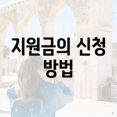 지원금의 신청 방법