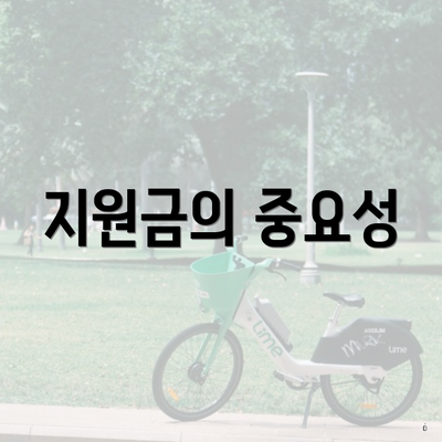 지원금의 중요성