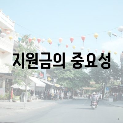 지원금의 중요성