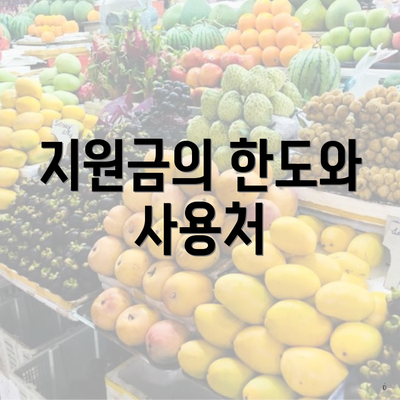 지원금의 한도와 사용처