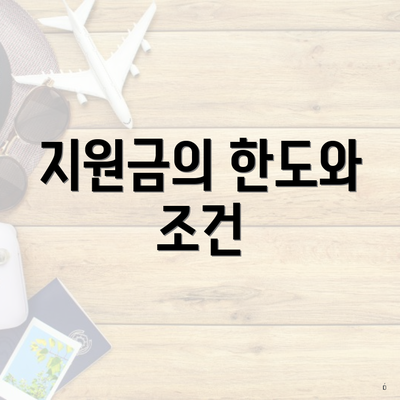 지원금의 한도와 조건