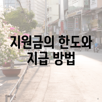 지원금의 한도와 지급 방법