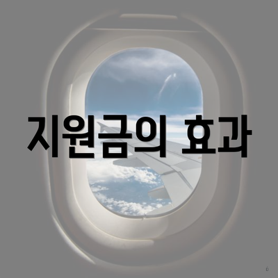 지원금의 효과