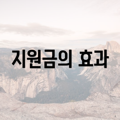 지원금의 효과