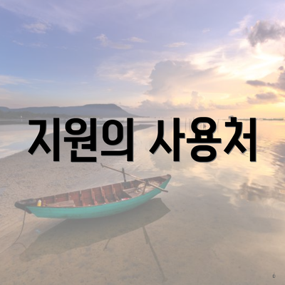 지원의 사용처