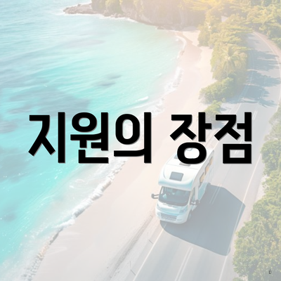 지원의 장점