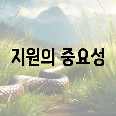 지원의 중요성