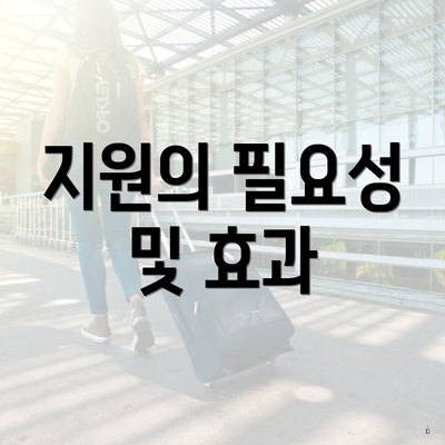 지원의 필요성 및 효과