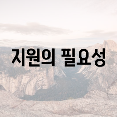 지원의 필요성