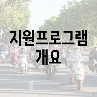 지원프로그램 개요