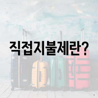 직접지불제란?