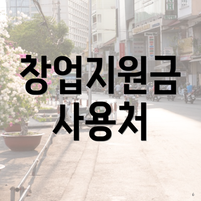 창업지원금 사용처