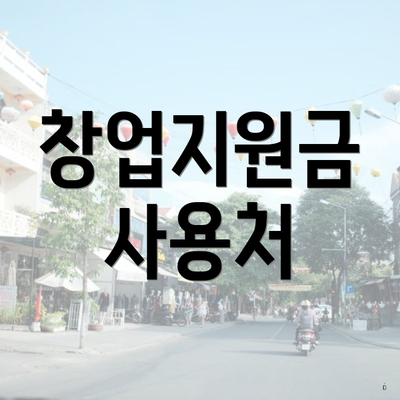 창업지원금 사용처
