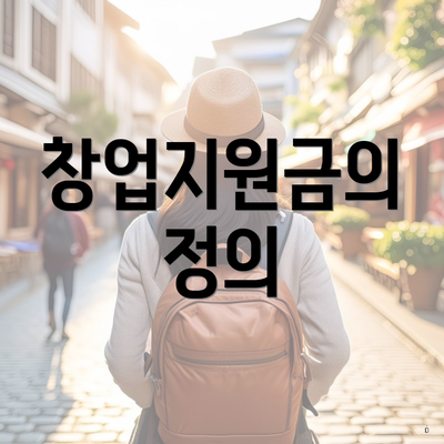 창업지원금의 정의