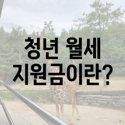 청년 월세 지원금이란?