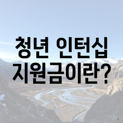 청년 인턴십 지원금이란?