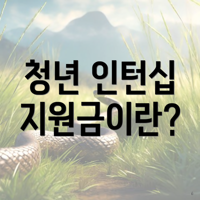 청년 인턴십 지원금이란?