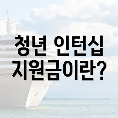 청년 인턴십 지원금이란?