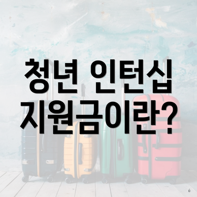 청년 인턴십 지원금이란?