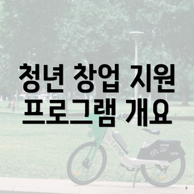 청년 창업 지원 프로그램 개요