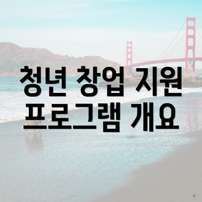청년 창업 지원 프로그램 개요