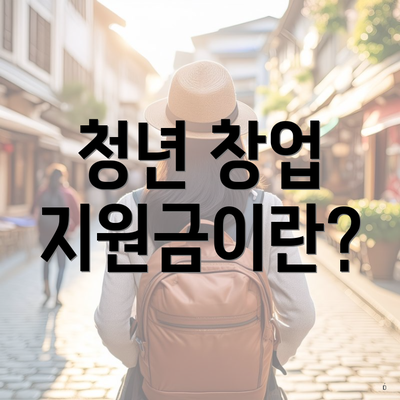 청년 창업 지원금이란?