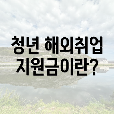 청년 해외취업 지원금이란?