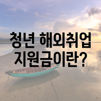 청년 해외취업 지원금이란?