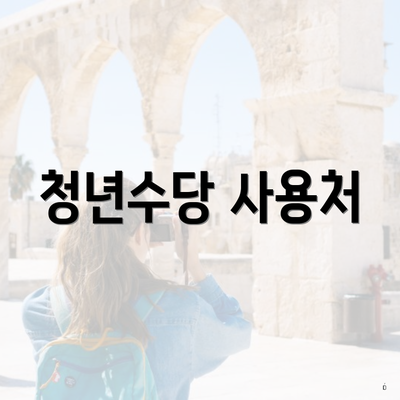 청년수당 사용처
