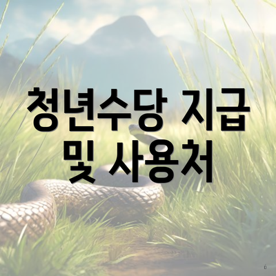 청년수당 지급 및 사용처