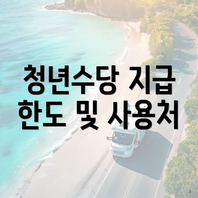 청년수당 지급 한도 및 사용처