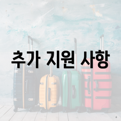 추가 지원 사항