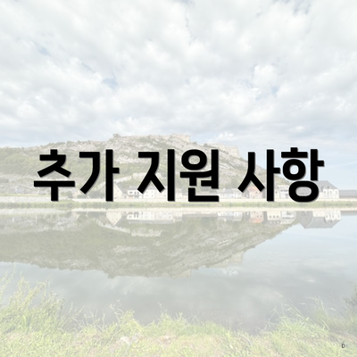 추가 지원 사항