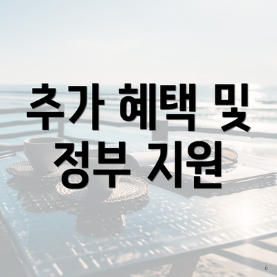 추가 혜택 및 정부 지원