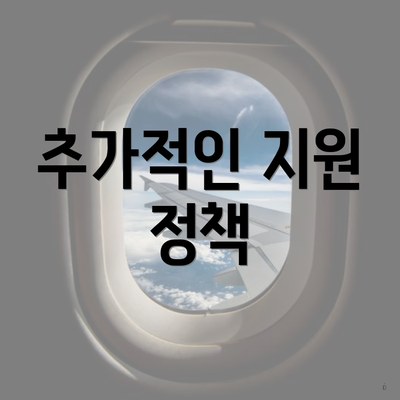 추가적인 지원 정책