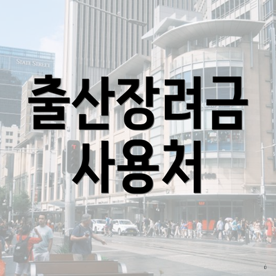출산장려금 사용처