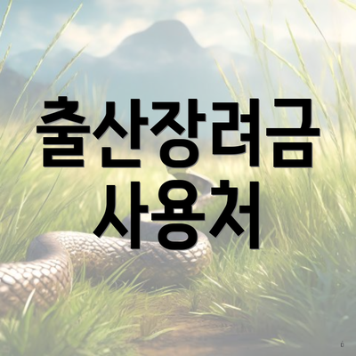 출산장려금 사용처