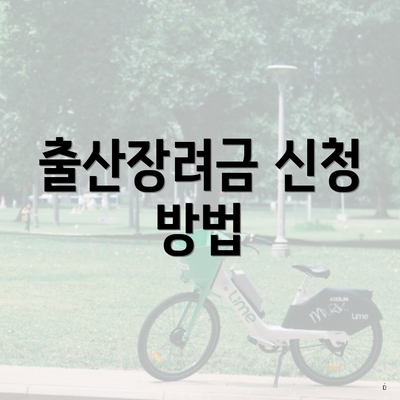 출산장려금 신청 방법