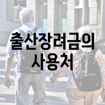 출산장려금의 사용처