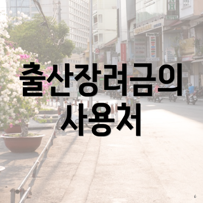 출산장려금의 사용처