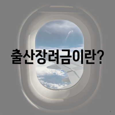출산장려금이란?