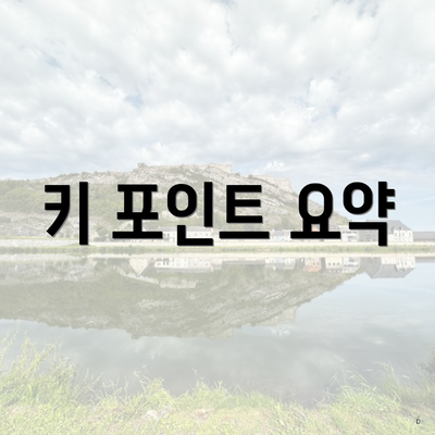 키 포인트 요약
