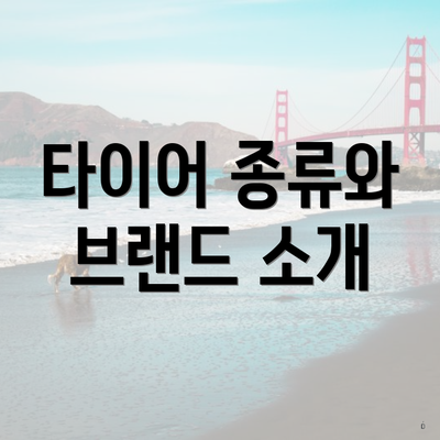 타이어 종류와 브랜드 소개