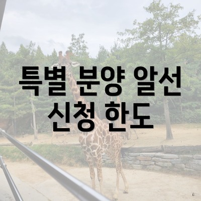 특별 분양 알선 신청 한도