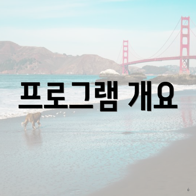 프로그램 개요
