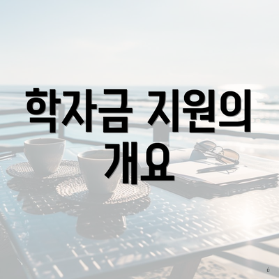학자금 지원의 개요