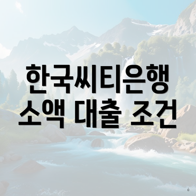한국씨티은행 소액 대출 조건