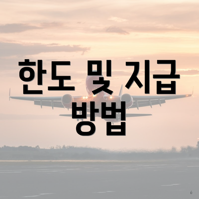 한도 및 지급 방법