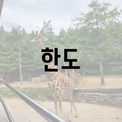 한도