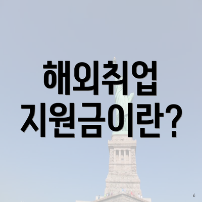 해외취업 지원금이란?